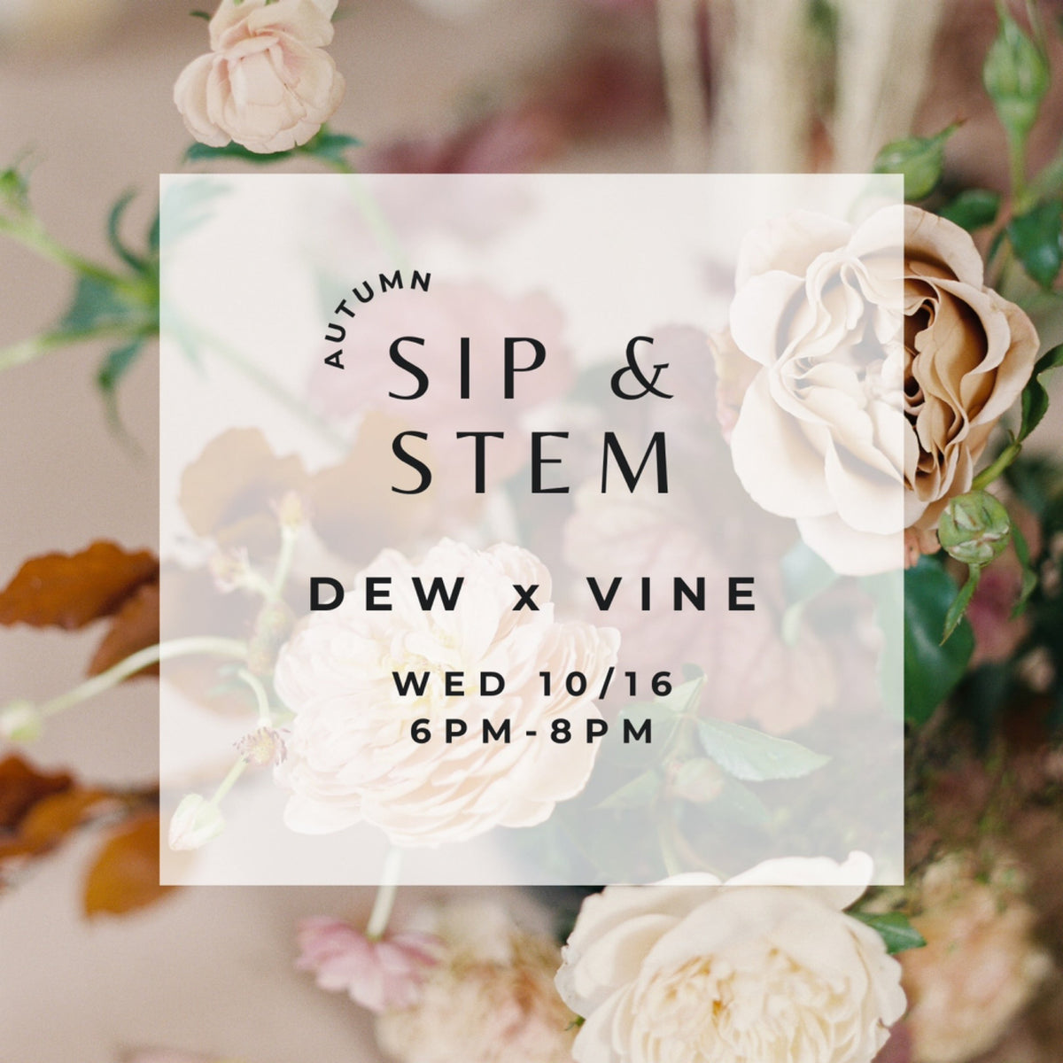 Sip & Stem