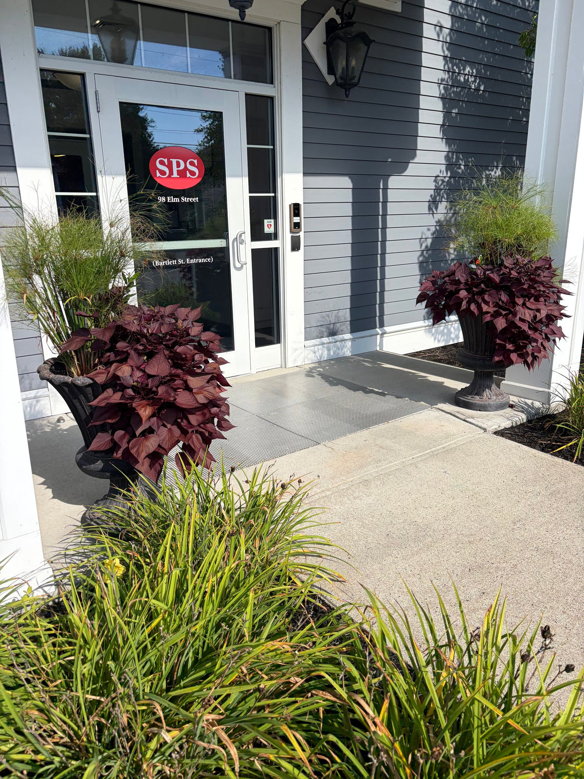 Outdoor plant installation & maintenance