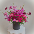 Fuscia Flares